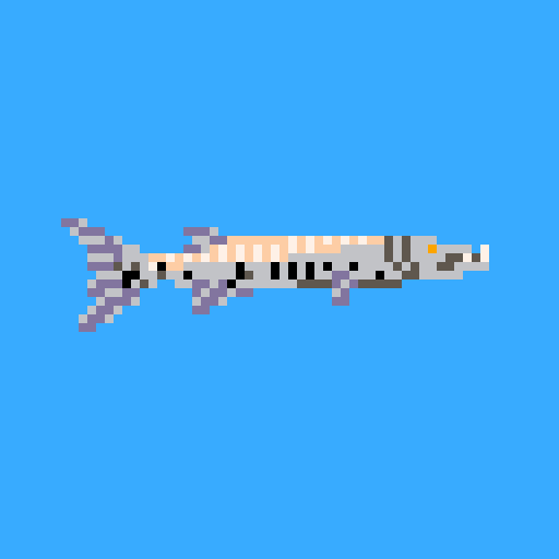 Barracuda fish
